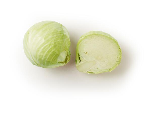 Cabbage