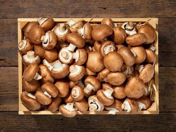 Champignons brun bio