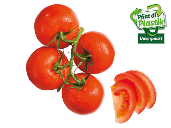Strauchtomaten