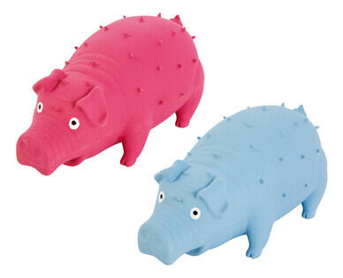 Squeaky Dog Toy