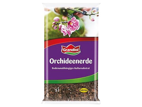 Soil for Orchids
