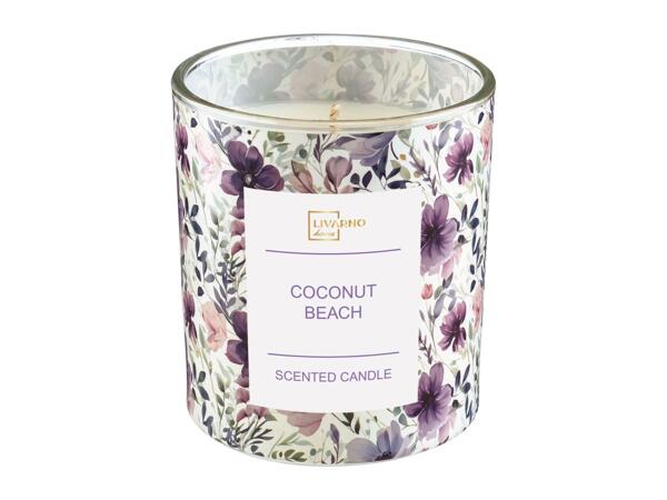 Livarno Home Scented Candle - Coconut Beach