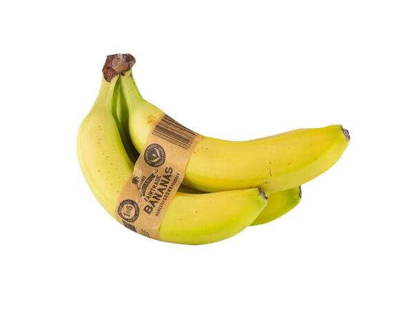 Organic Fairtrade Bananas