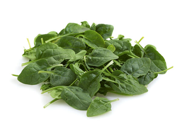 Épinards frais