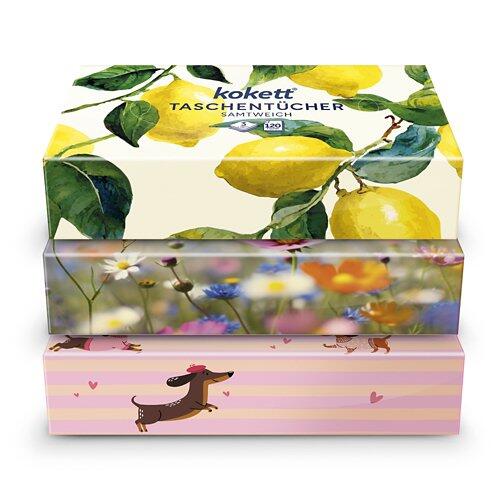 KOKETT XXL Taschentücher-Box