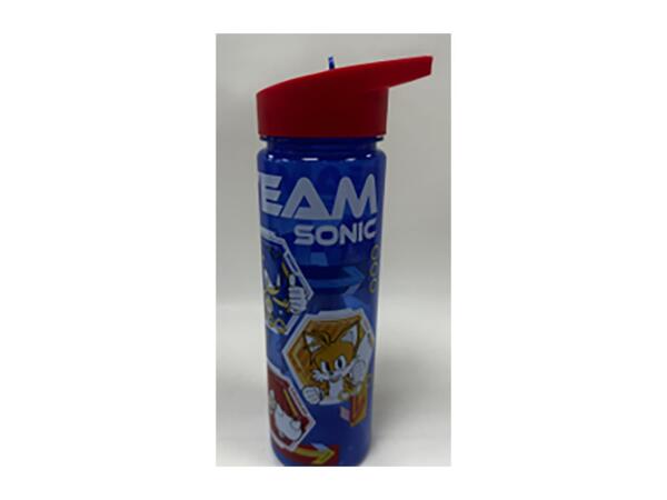 600ml Character Water Bottle - Sonic