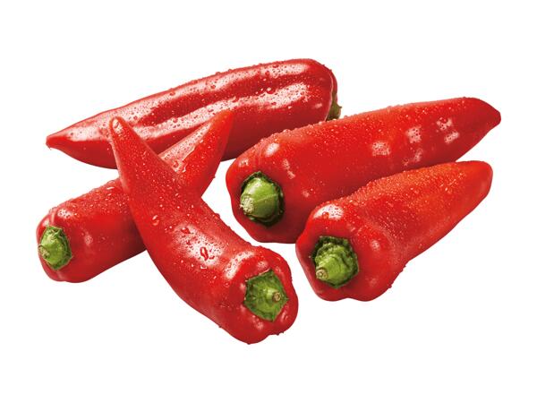 Spitzpaprika rot