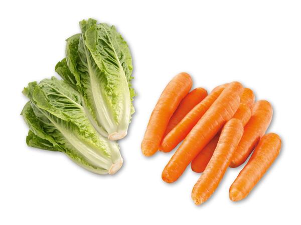 Økologisk dansk hjertesalat eller danske gulerødder