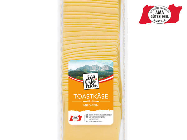 Toastkäse in Scheiben