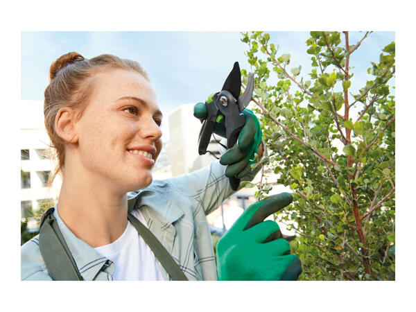 Parkside Anvil or Bypass Secateurs