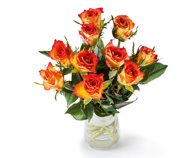 Edelrosen FAIRTRADE