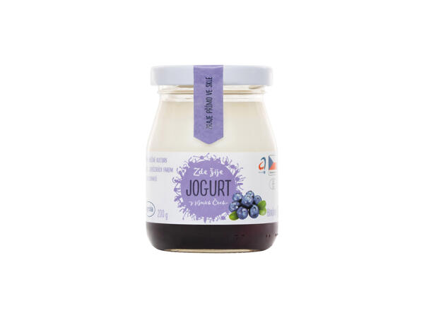 JIHOČESKÝ JOGURT OCHUCENÝ