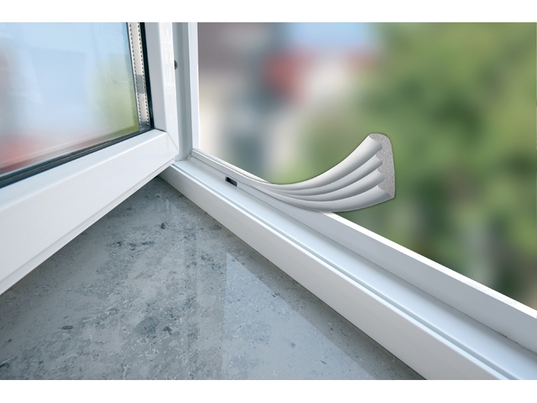 Door and Window Seal