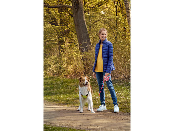 Retractable Dog Lead