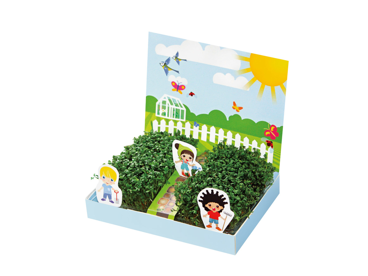Little Gardeners Indoor Cress Garden1