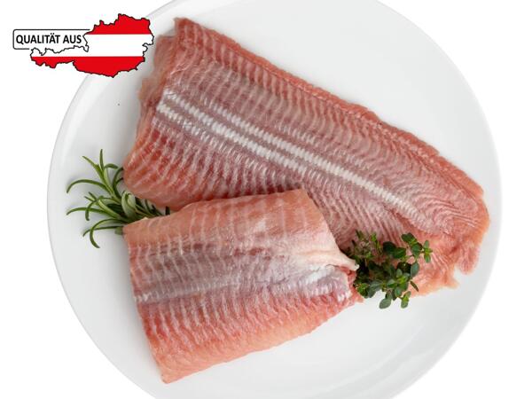 Frisches Welsfilet aus Österreich
