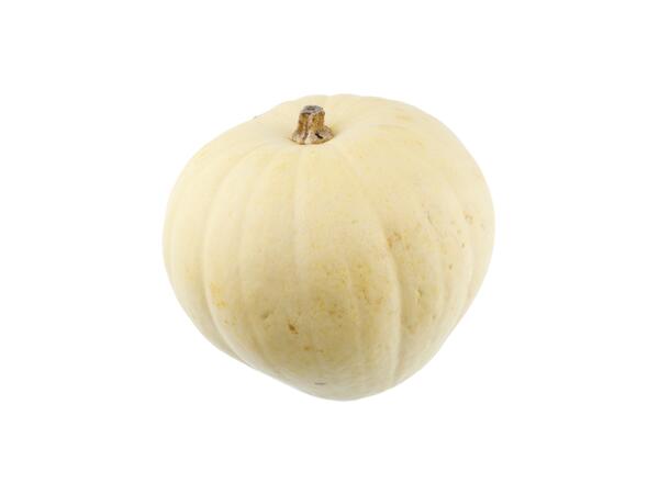 Ghost Pumpkin