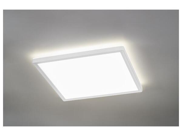 LIVARNO home Stropní LED svítidlo s pohybovým senzorem
