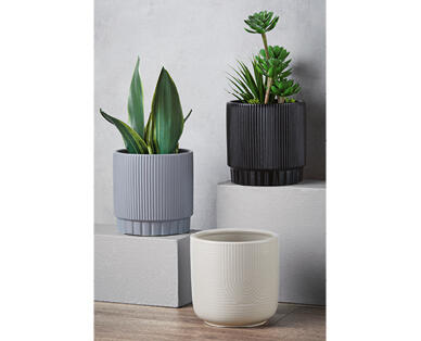 Ceramic Pot