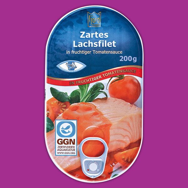 Zartes Lachsfilet