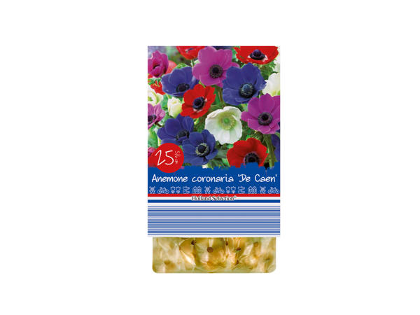 Spring Flowering Bulbs1