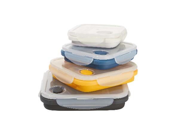Collapsible Storage Containers