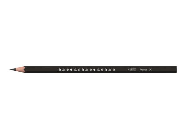 BIC Stationery Assortment