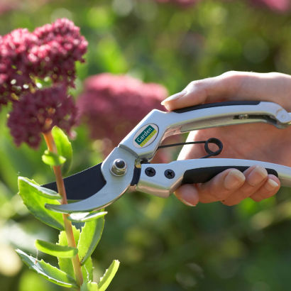 Ergonomisk havesaks