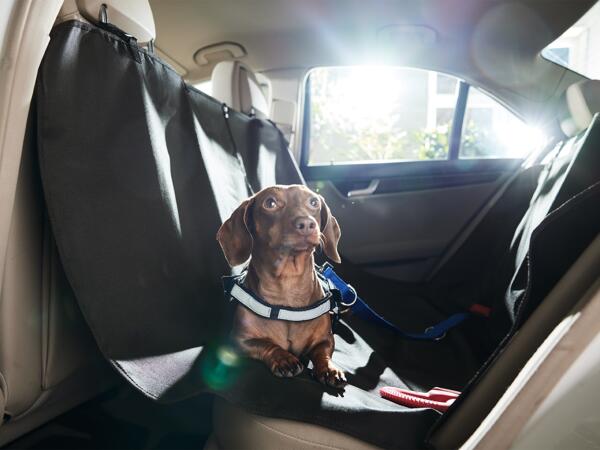 Car Seat Cover