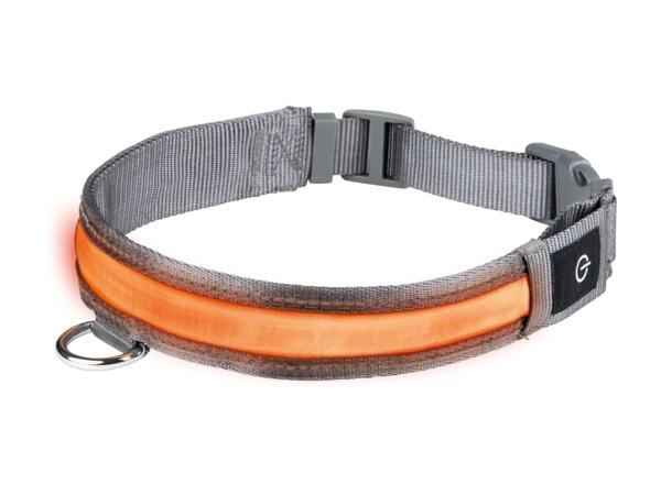ZOOFARI(R) Hundehalsbånd/LED-lysbånd