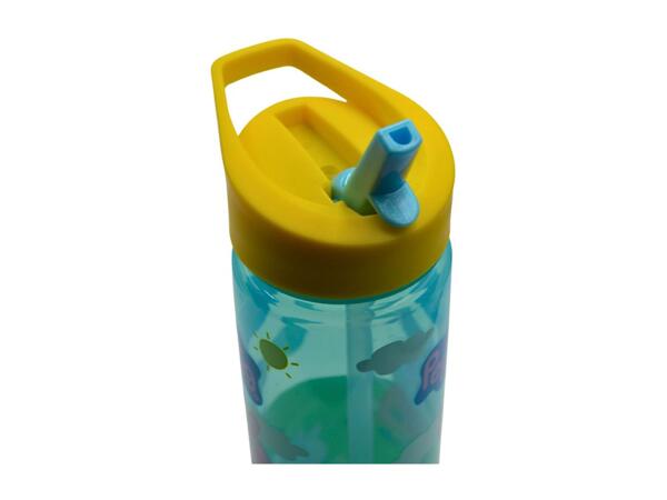 Zak Character Water Bottle - 600ml
