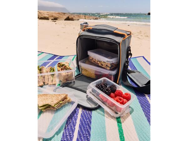 Cool Bag with Lunch Boxes