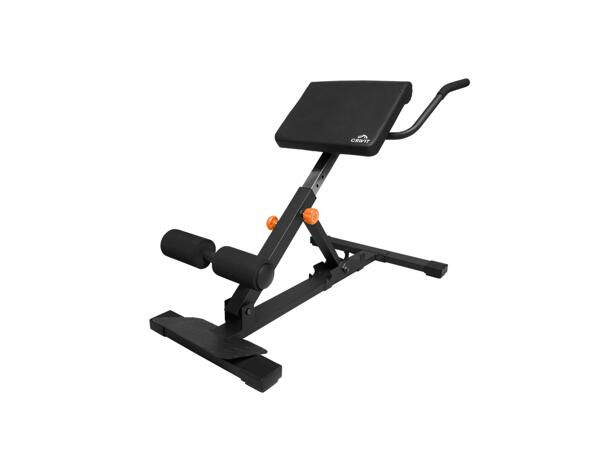 Multi Trainer