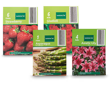 Packet Bulbs