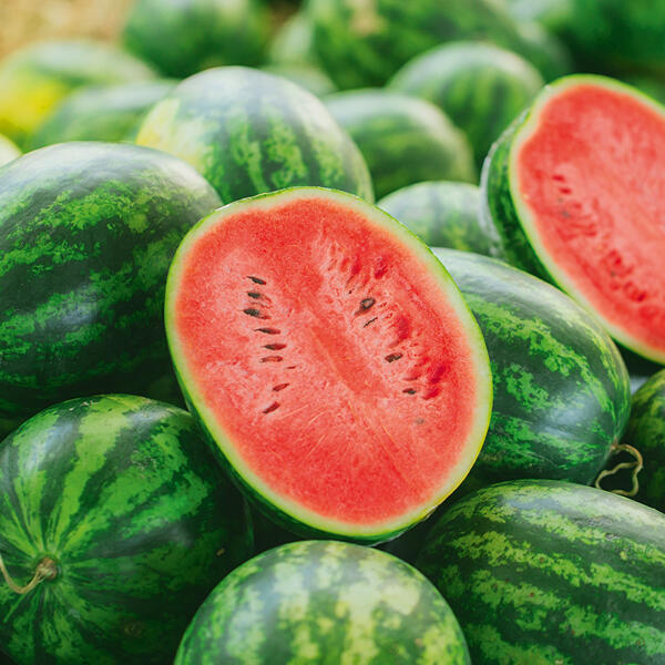 Riesen-Wassermelone