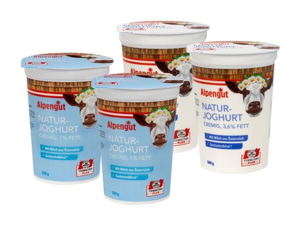 Naturjoghurt