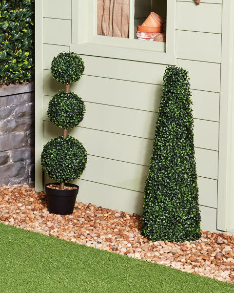 Boxwood Obelisk Cone