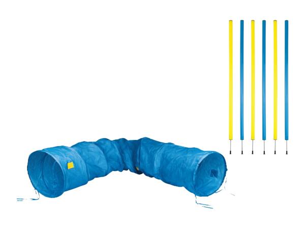 Dog Agility Training Set