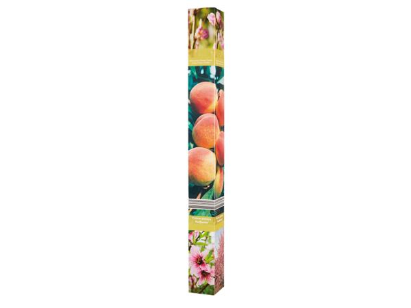 Fruit Trees