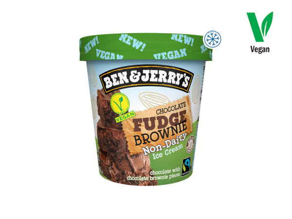 Ben & Jerry's Vegan Ice Cream