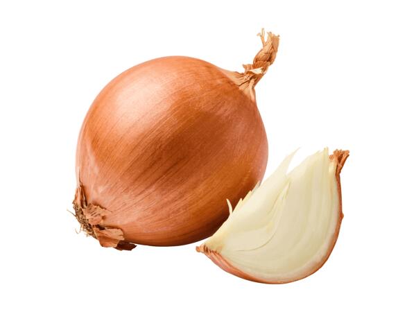 Oignons jaunes suisses bio