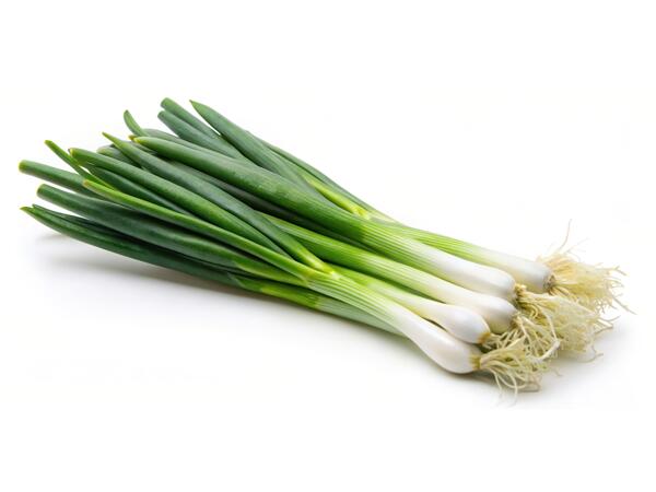 Oignons de printemps