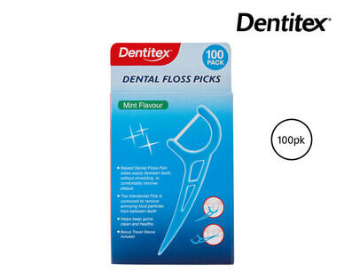 Disposable Dental Floss Picks 100pk