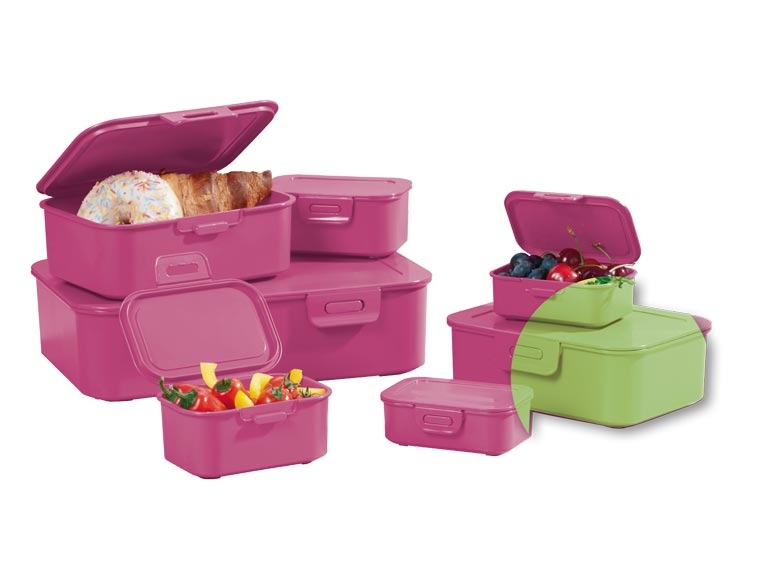 Boîtes de conservation, 7 pièces
