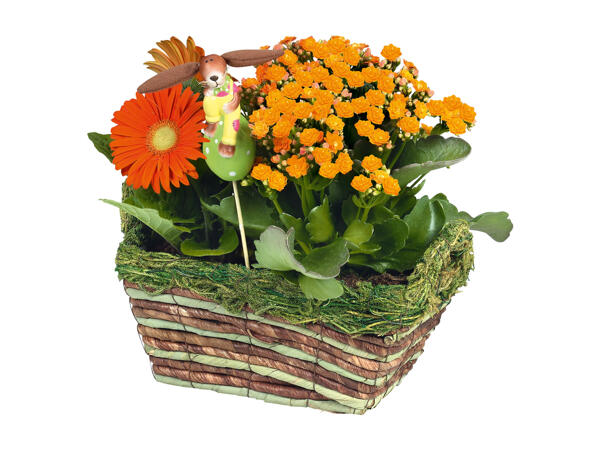 Flower Basket