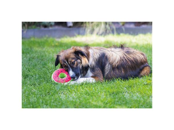 Dog Toy