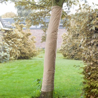 Protection antigel pour arbres et plantes