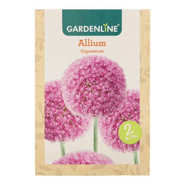GARDENLINE(R) 				Bulbes à fleurs ail d'ornement