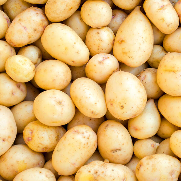 Speisekartoffeln