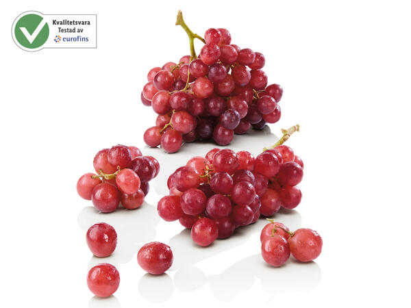 Röda vindruvor Premium